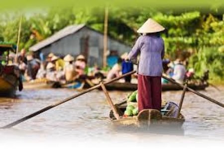 Explore the Mekong Delta full day Luxury Group Tour: My Tho and Ben Tre’s 4 Islands Adventure